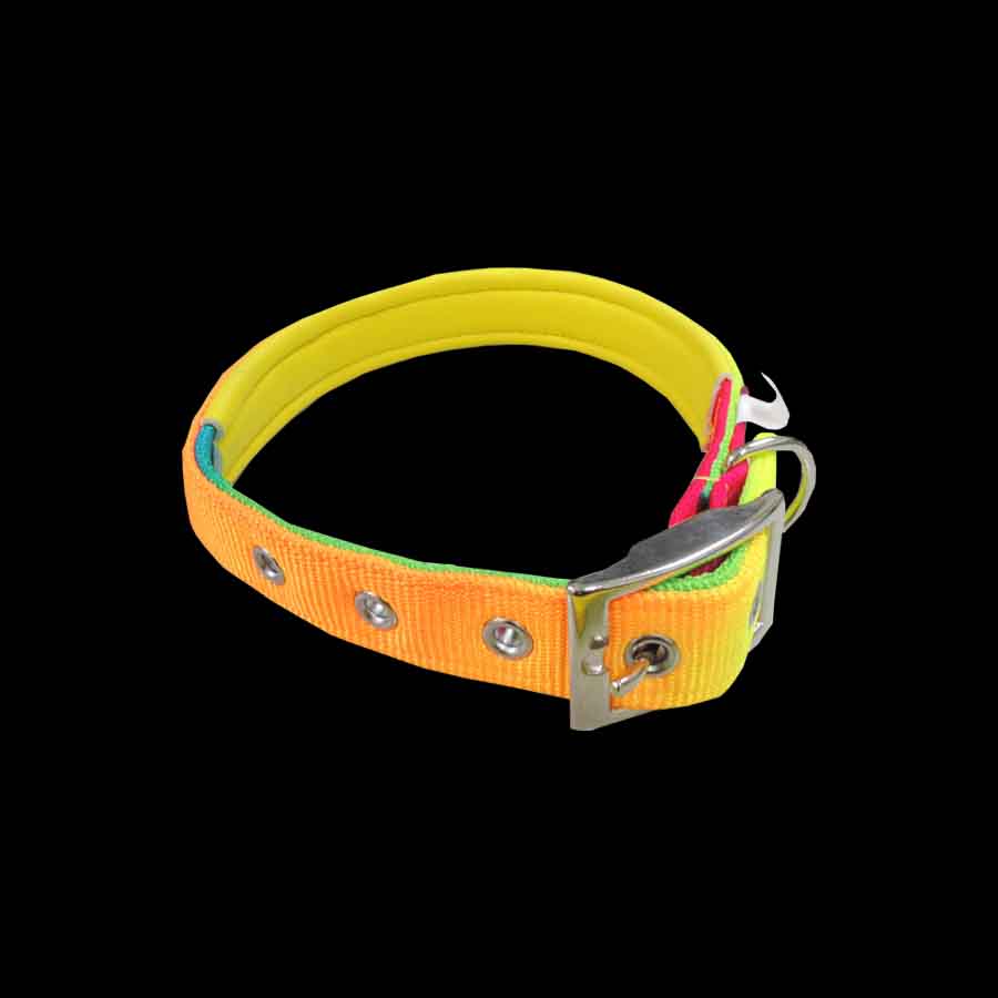 Dog Collar